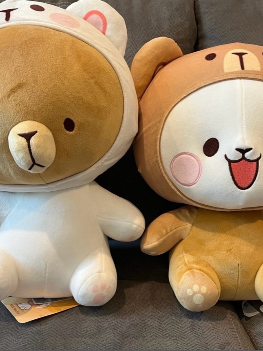 Round1 Exclusive Mocha milk and Milk mocha bear plushie SET